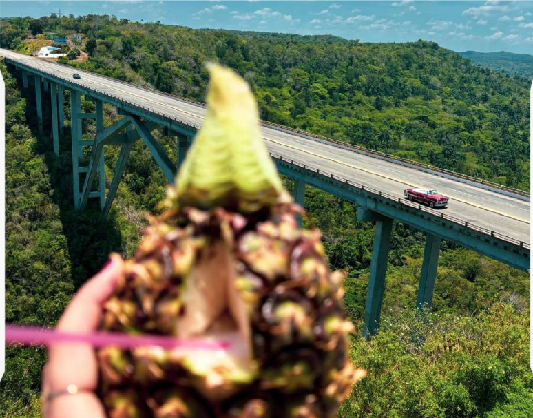 Varadero, Havana i Salsa fiesta