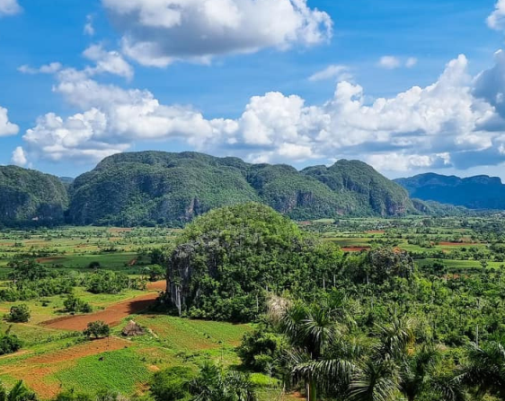 Viñales: Mural de la Prehistoria, plantacja tytoniu, przejażdżka konna